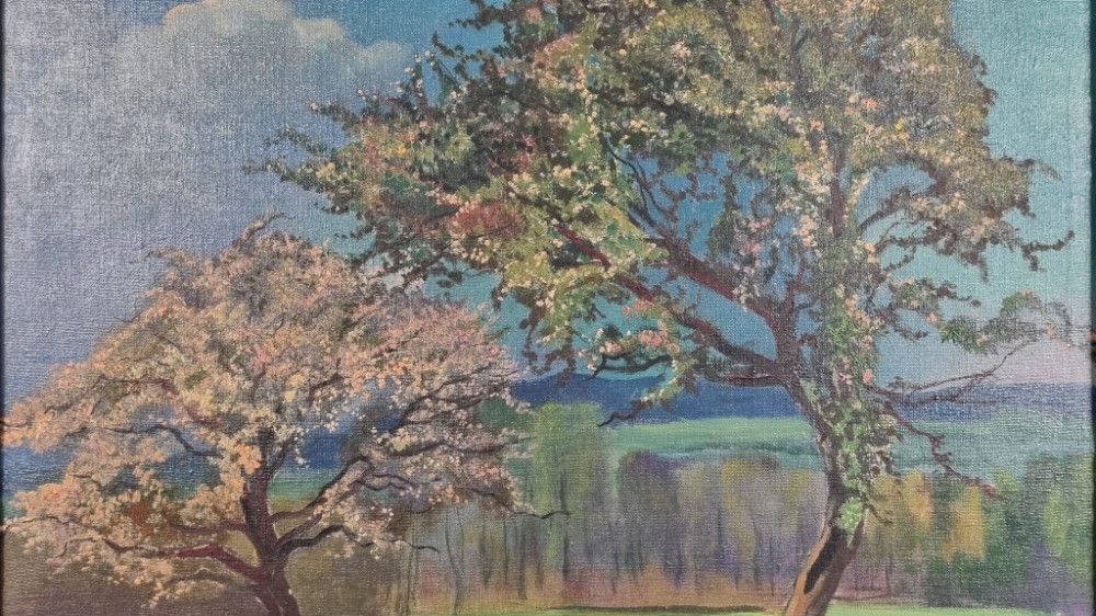 Graciano