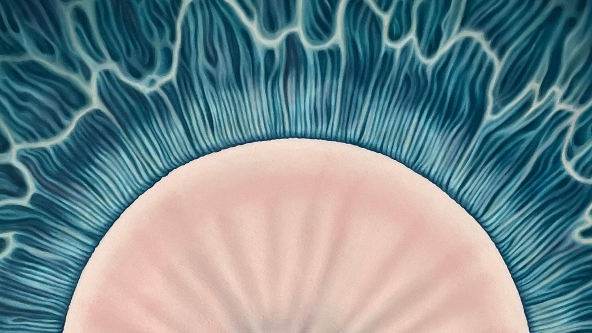 Eye Eye Eye - Barbora Maštrlová