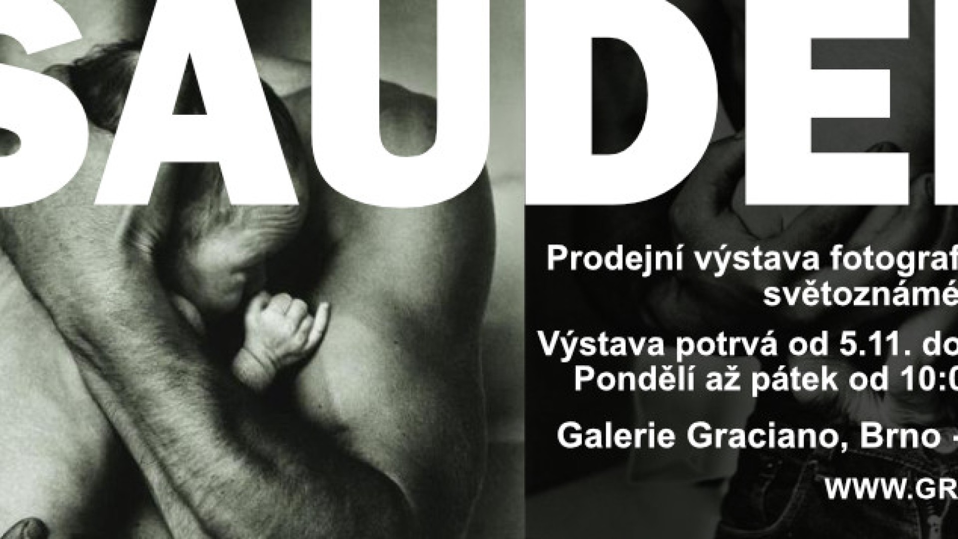 Saudek v Brně