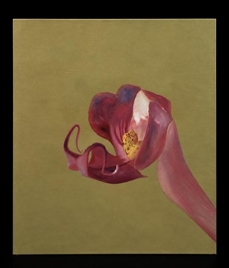 Orchidej, 105 x 90 cm - 3 Orchidej, 105 x 90 cm - 3