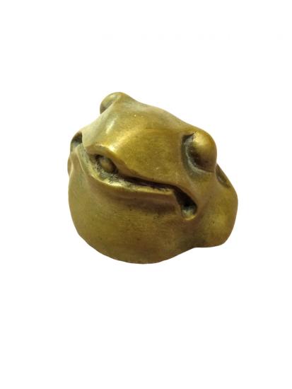 Bronzová hlava žabáka
