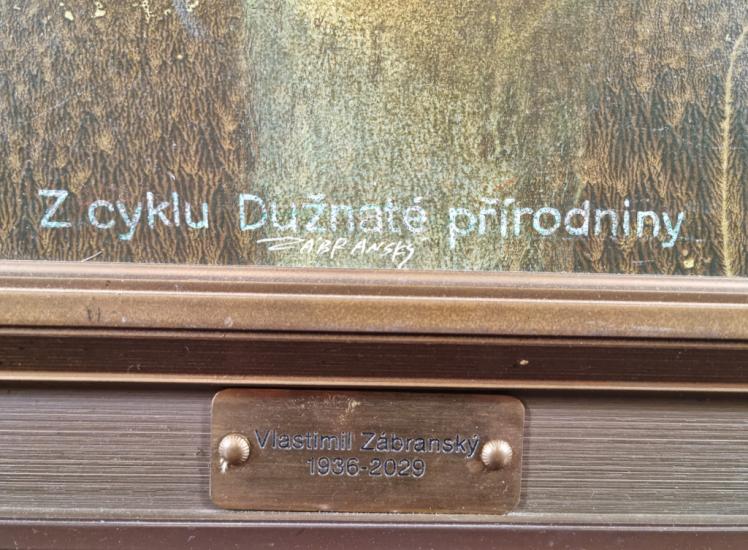 Dužnaté přírodniny
