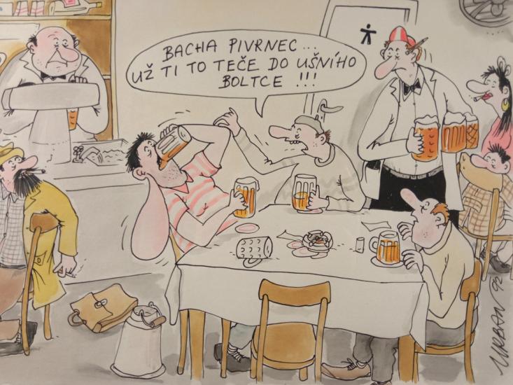 Pivrnec I. ,,Ušní boltec,,