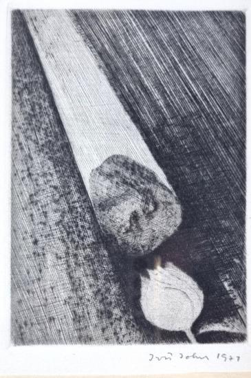 Kámen a růže II.