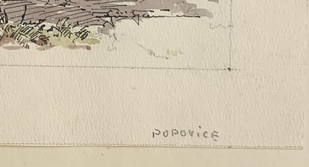 Popovice