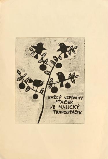 Grafika  - Ptáčci