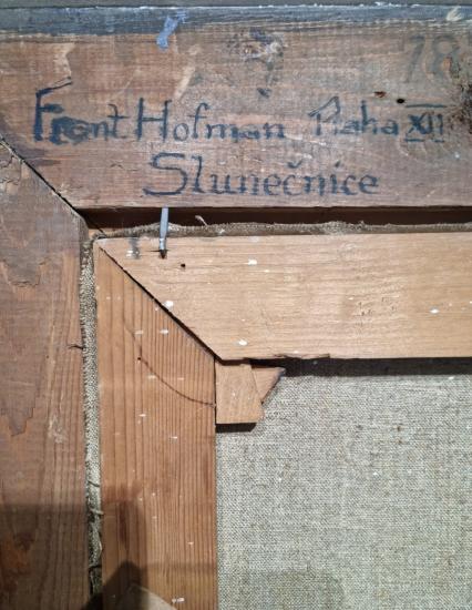 Slunečnice