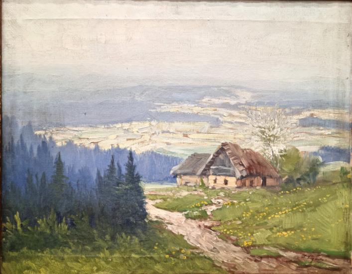 Údolí v mlze