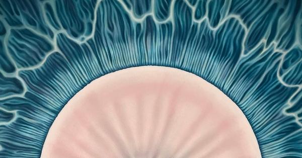 Eye Eye Eye - Barbora Maštrlová