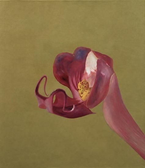 Orchidej, 105 x 90 cm - 1 Orchidej, 105 x 90 cm - 1