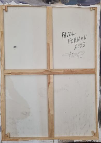 Dáma s kukátkem - 2 Dáma s kukátkem - 2