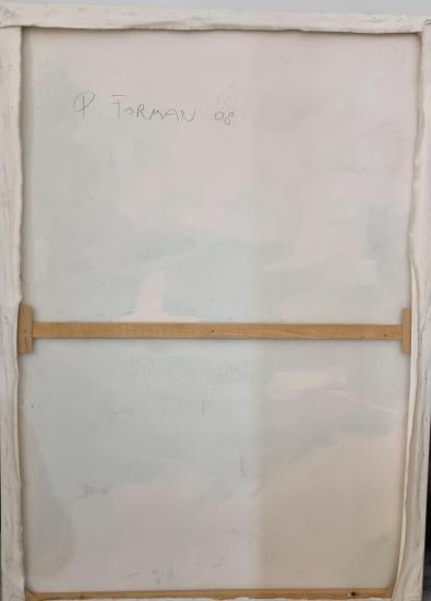 Hitler Youth, Moravia 1938 - 1 Hitler Youth, Moravia 1938 - 1