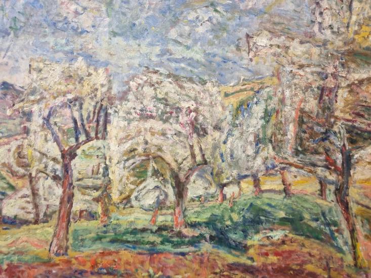 undefined - 6 undefined - 6