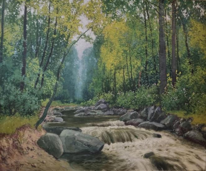 Lesní říčka - 1 Lesní říčka - 1