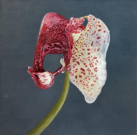 Orchidej, 150 x 150 cm - 1 Orchidej, 150 x 150 cm - 1