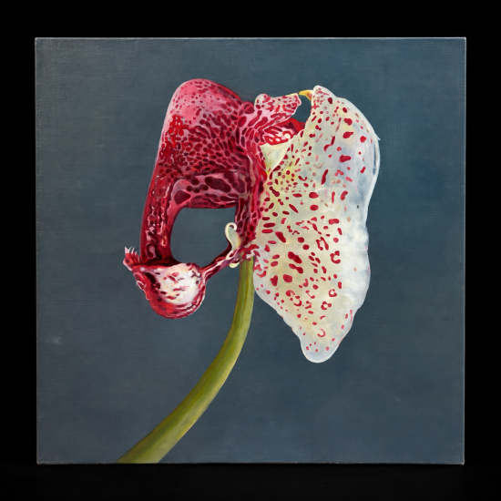 Orchidej, 150 x 150 cm - 3 Orchidej, 150 x 150 cm - 3