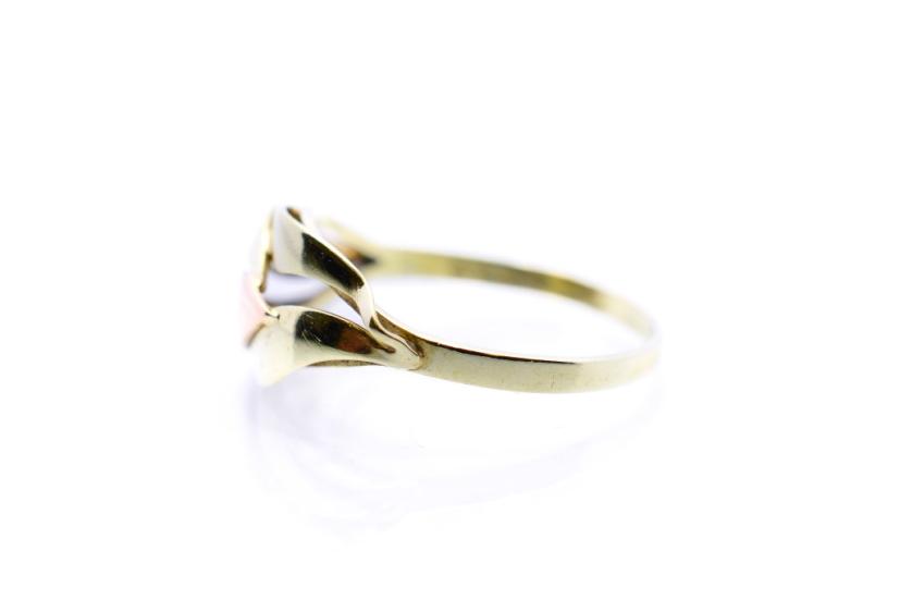 Zlatý prsten, vel. 57