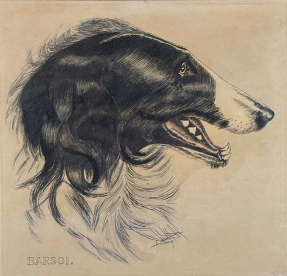 Barsoi