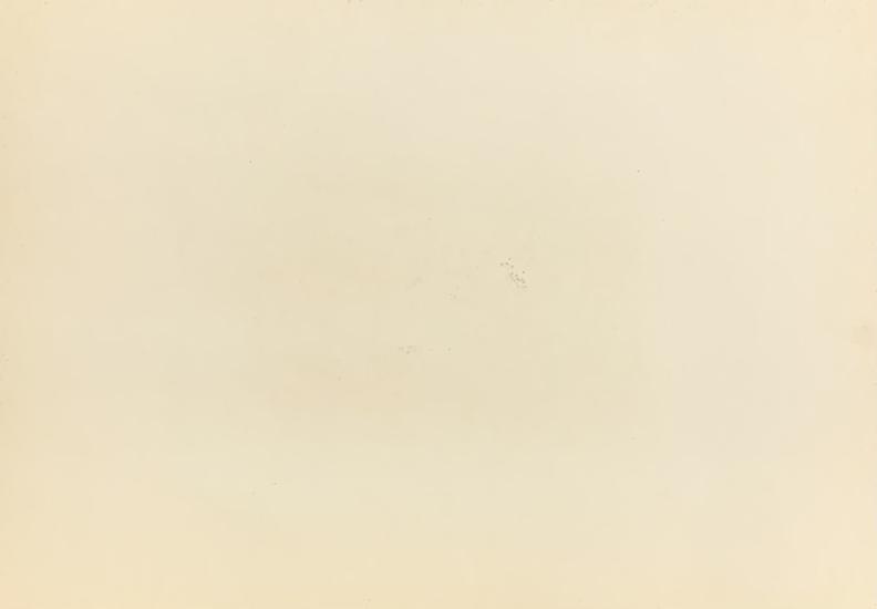 Blatnice Lizina bouda