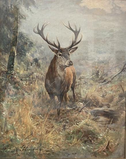 Majestátní jelen