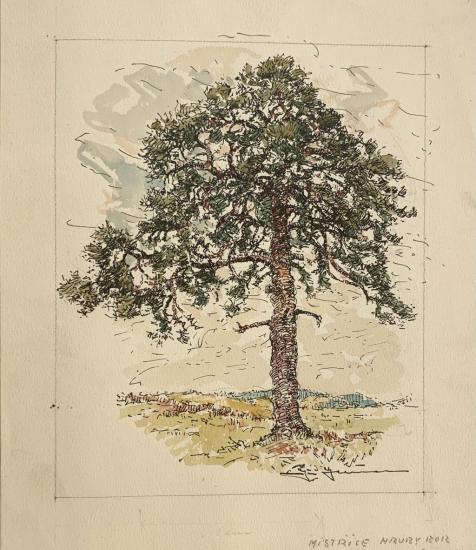 Mistřice Hrubý bor