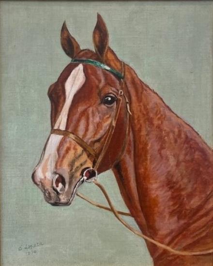 Portrét- Český teplokrevník