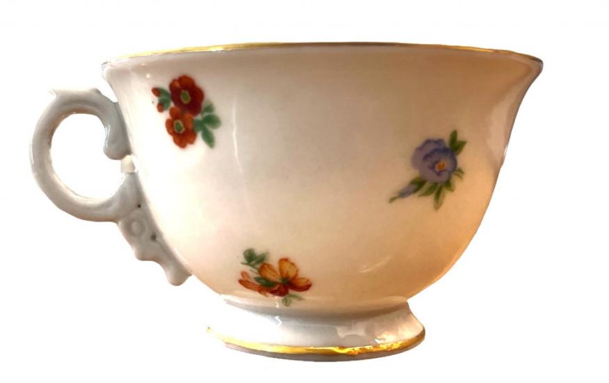 Šálek s podšálkem - Rosenthal