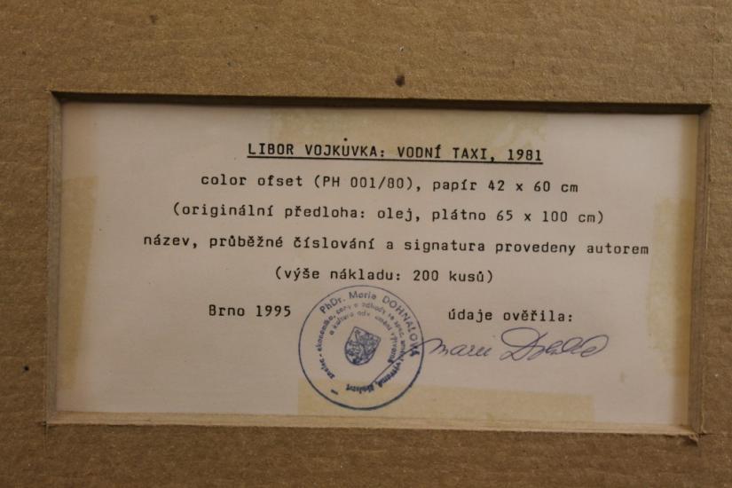 Vodní taxi