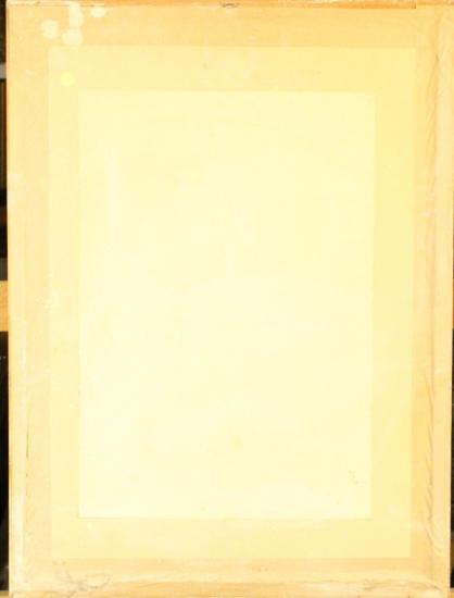 Ženy