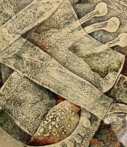 Tykadlovec blažený