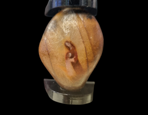 Kresba na kameni - Souznění