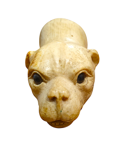 Zvířecí hlava - torzo