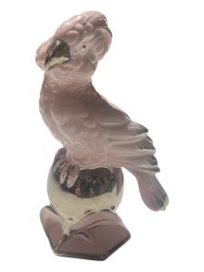 roztomilý papoušek