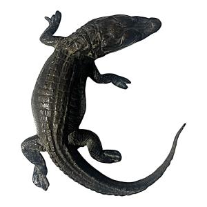 Bronzový kajman