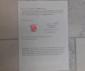 Zlatý prsten z bílého zlata s diamanty, vel. 54
