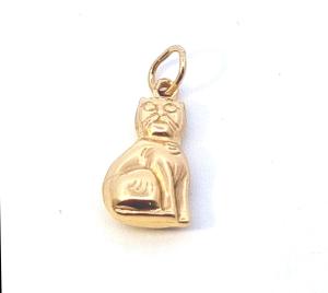 Zlatý přívěs, kočka