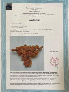 Zlatá brož a náušnice s korály